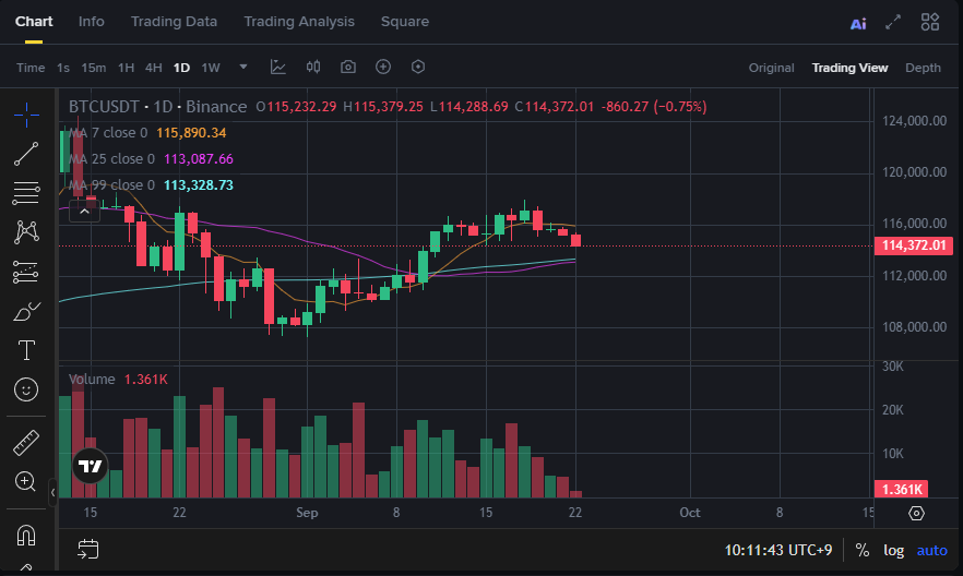 Binance weekly DCA log example (placeholder)