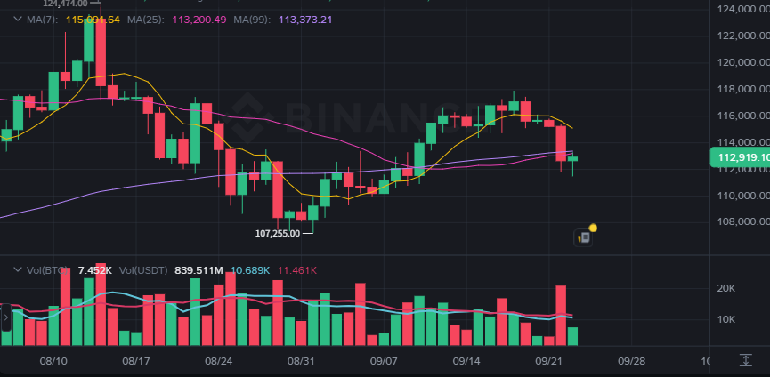 Binance BTC/USDT daily chart used for price context during the same period