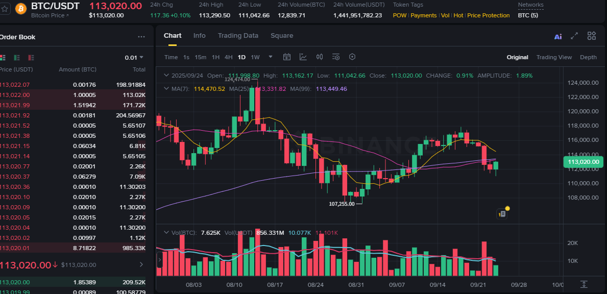 Binance BTC/USDT daily chart for international reference